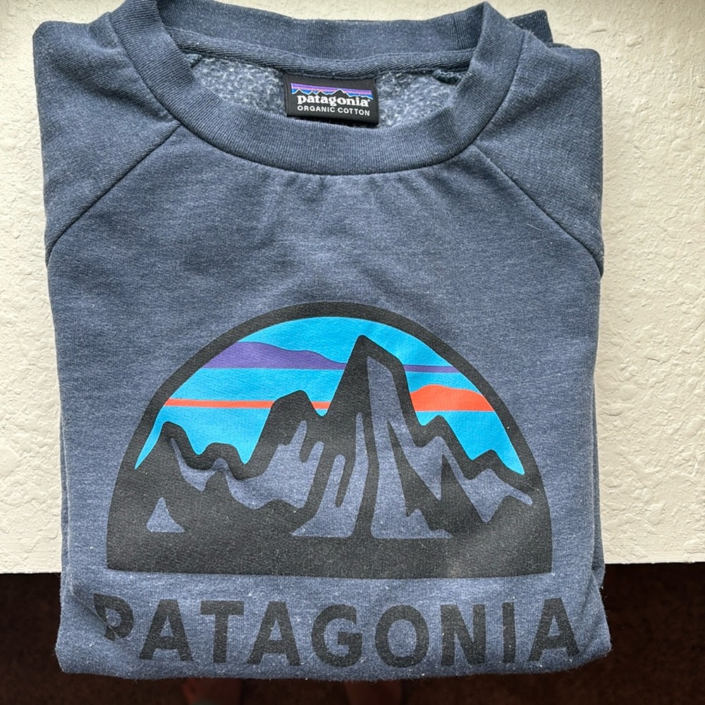 Patagonia Kids Sweatshirt